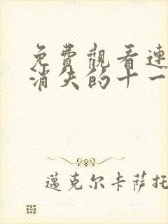 免费观看连续剧消失的十一层封面