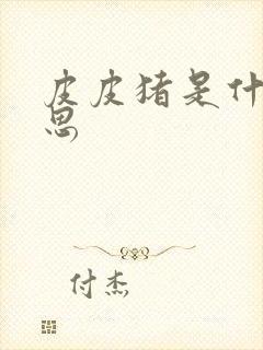 皮皮猪是什么意思封面