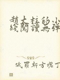 赵大柱的小说在线阅读无弹窗