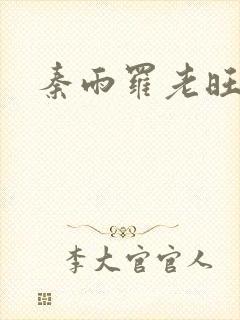 秦雨罗老旺封面