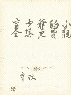 盲少爷的小女仆全集免费观看