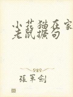 小花猫在家里捉老鼠扩句封面
