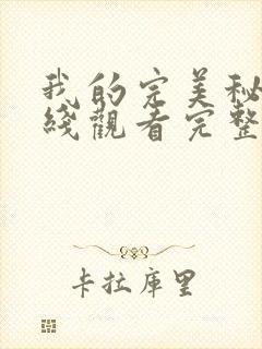 我的完美秘书在线观看完整版封面