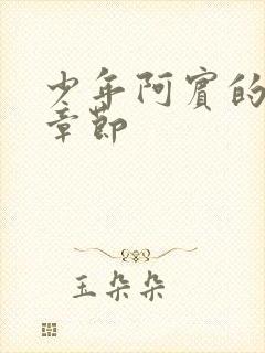 少年阿宾的最新章节封面