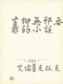 有柳无邪吞天神鼎的小说