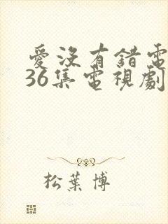 爱没有错电视剧36集电视剧全集