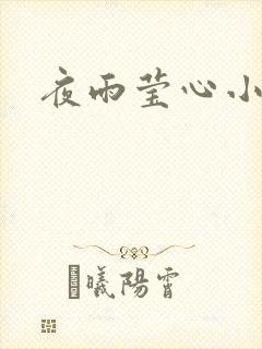 夜雨莹心小说封面