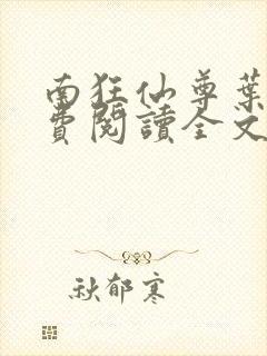 南狂仙尊叶辰免费阅读全文封面