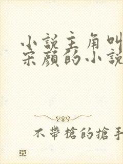 小说主角叫楚尘宋颜的小说