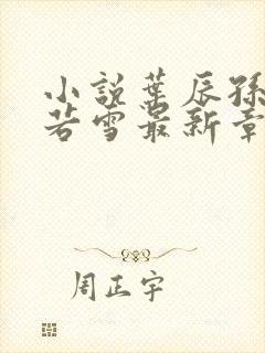 小说叶辰孙怡夏若雪最新章节阅读