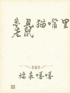 梦见猫嘴里叼着老鼠