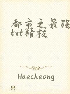 都市之最强狂兵txt精校