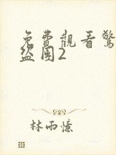 免费观看惊天魔盗团2