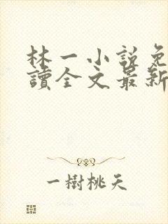 林一小说免费阅读全文最新章节