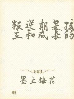 叛逆期是孩子独立和成长的过程