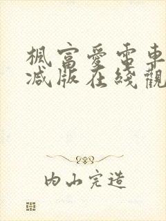 枫富爱电车无删减版在线观看免费最