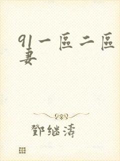 91一区二区人妻