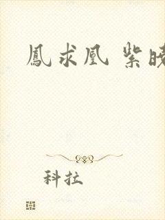 凤求凰 紫晓封面