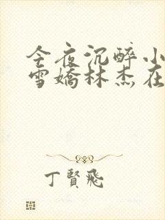 今夜沉醉小说段雪娇林杰在线阅读