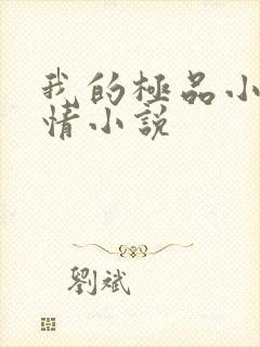 我的极品小姨言情小说