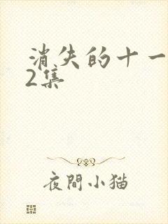 消失的十一层12集