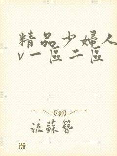 精品少妇人妻av一区二区封面