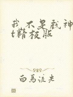 我不是戏神txt精校版