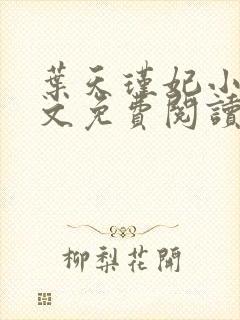 叶天瑾妃小说全文免费阅读笔趣阁