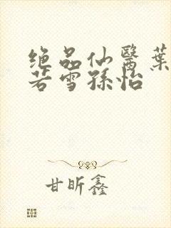 绝品仙医叶辰夏若雪孙怡封面