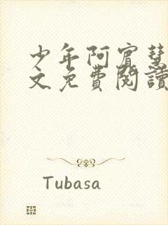 少年阿宾慧钰全文免费阅读封面