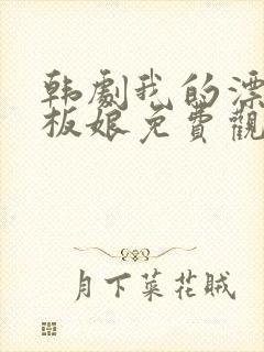 韩剧我的漂亮老板娘免费观看完整版封面