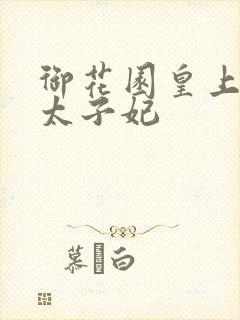 御花园皇上撞着太子妃