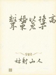 离婚以后高干 耳东兔子