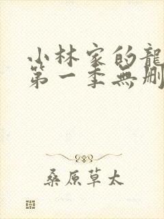小林家的龙女仆第一季无删减