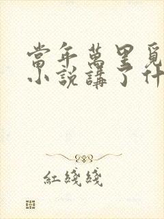 当年万里觅封侯小说讲了什么