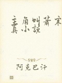 主角叫萧寒的修真小说