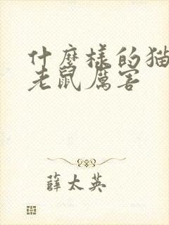 什么样的猫会抓老鼠厉害封面