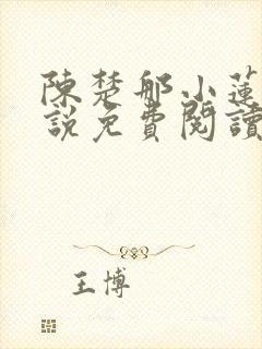 陈楚那小莲的小说免费阅读