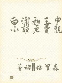 白洁和王申结局小说免费观看