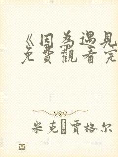 《因为遇见你》免费观看完整版