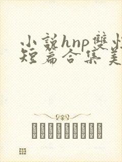 小说hnp双性短篇合集美人