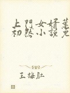 上门女婿叶辰萧初然小说免费