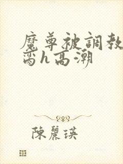 魔尊被调教成禁脔h高潮