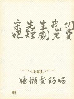 宋先生我们恋爱吧短剧免费观看