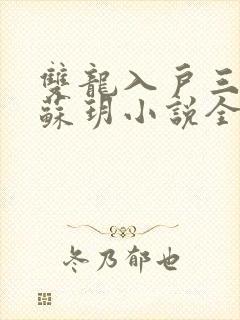 双龙入户三人行苏玥小说全文阅读封面