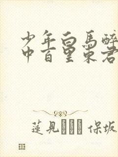 少年白马醉春风中百里东君结局封面