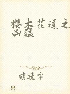 樱木花道之重生凶猛