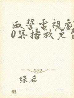 血誓电视剧全30集播放免费