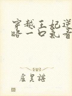 穿越王妃逆袭攻略一口气看完封面