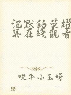 沉默的荣耀39集在线观看